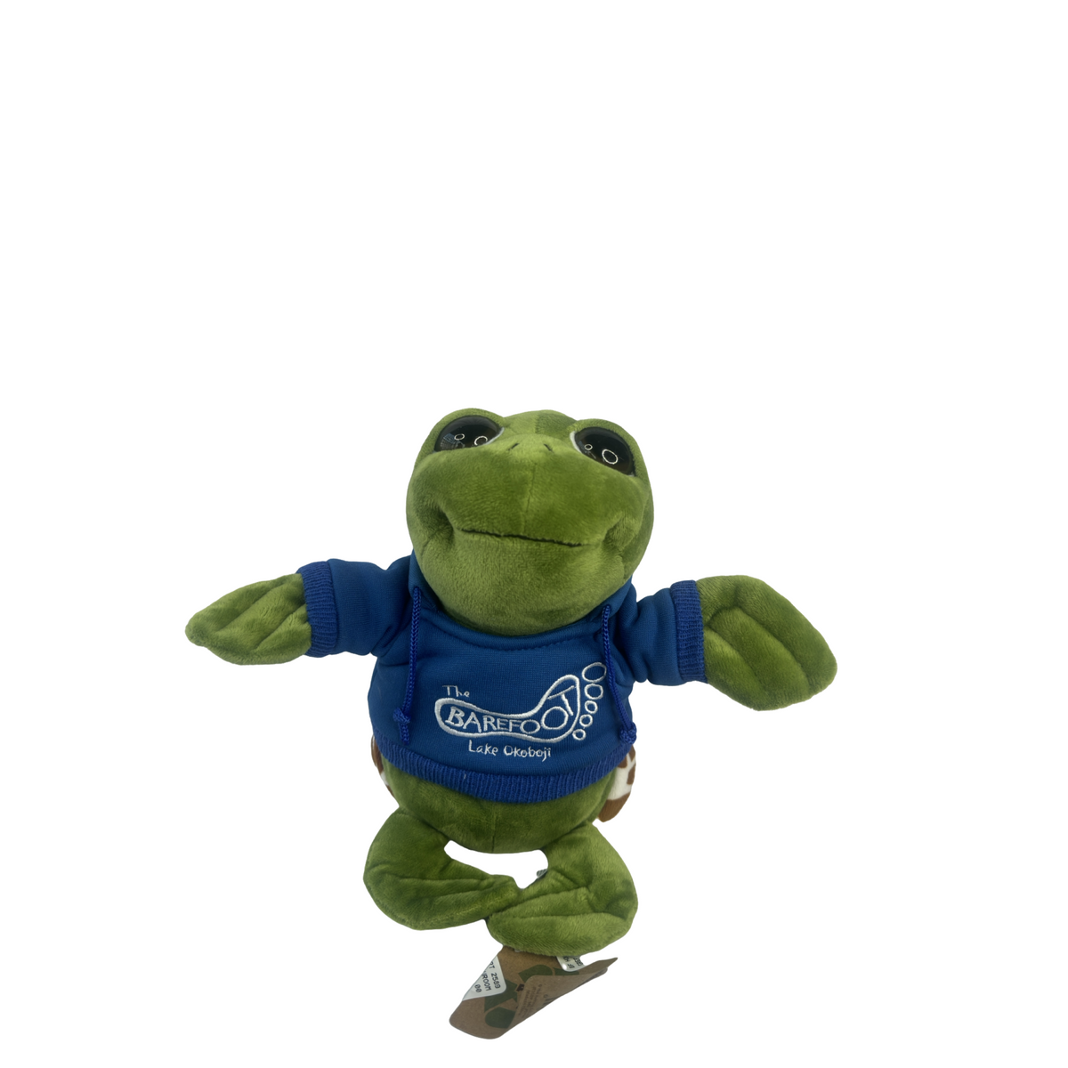 BF HOODIE BRIGHT EYE TURTLE