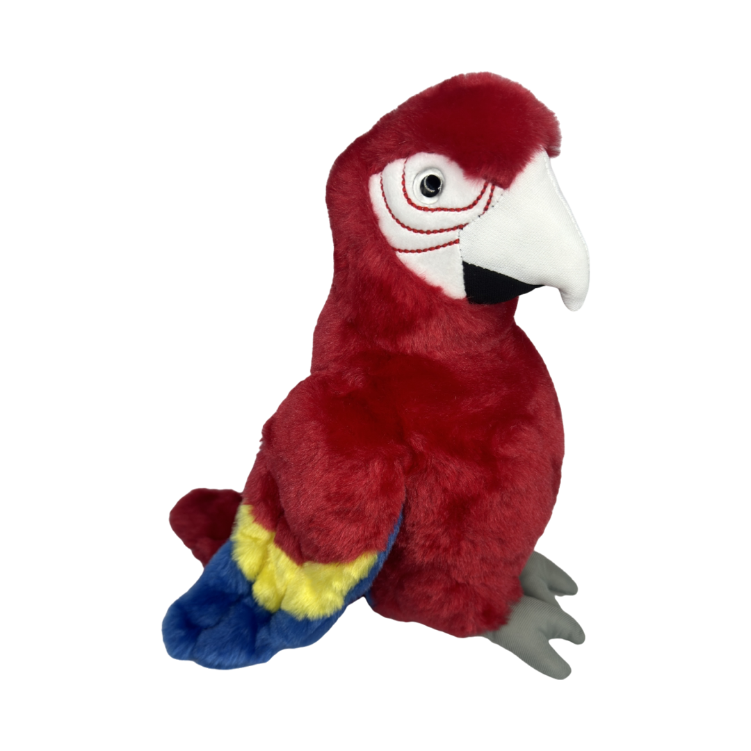SCARLET MACAW