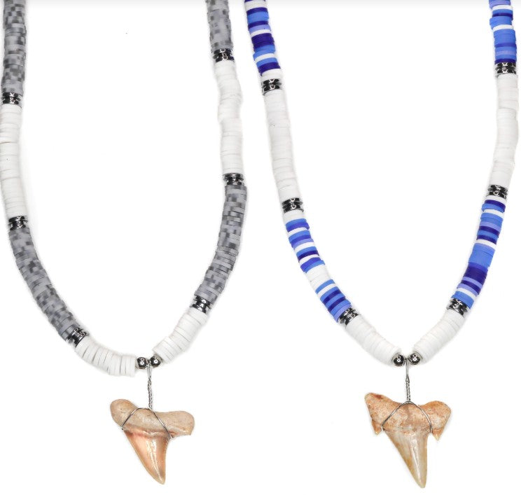 SHARK TOOTH NECKLACE