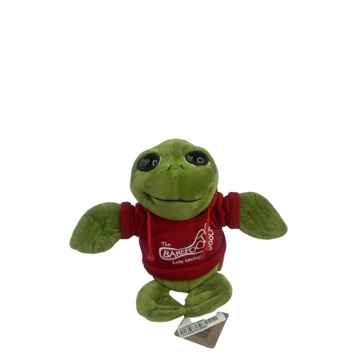 BF HOODIE BRIGHT EYE TURTLE