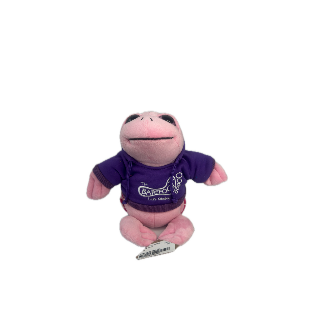 BF HOODIE BRIGHT EYE TURTLE