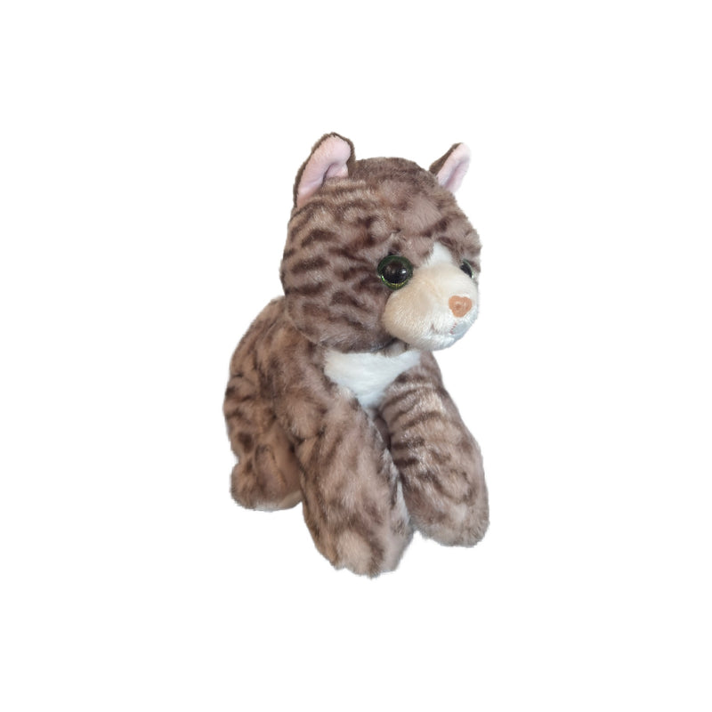 GREY TABBY CAT