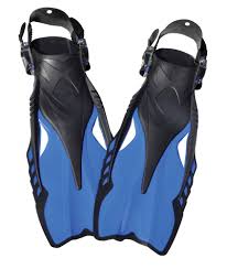 INTERCEPTOR DIVE SITE COMPOSITE FINS