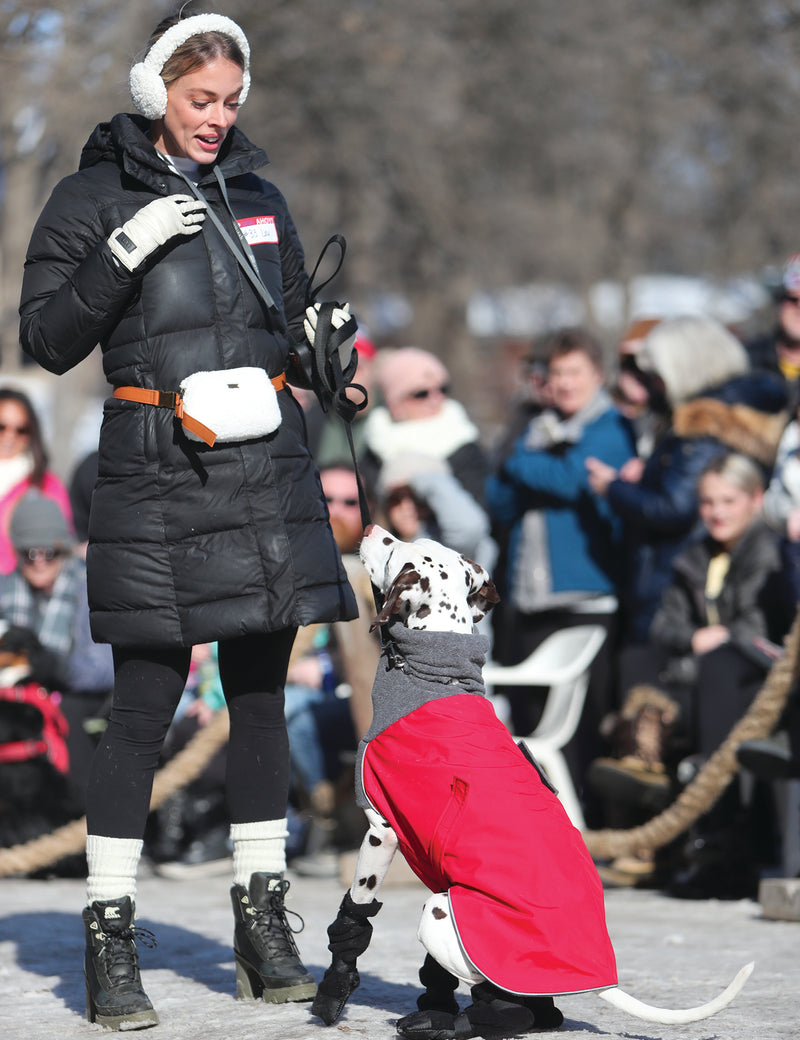 "STRUT YOUR MUTT" DOG SHOW